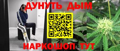 индика Мариинск