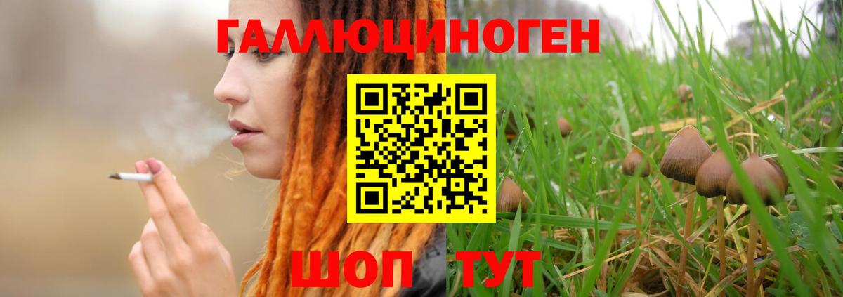 Псилоцибиновые грибы Magic Shrooms  Вход с VPN  Псилоцибиновые грибы мицелий  Вольск 